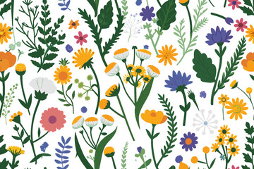 Vector seamless pattern with hand drawn wild plants, herbs and flowers, colorful botanical illustration, floral elements, hand drawn repeating background. Wild meadow herbs, flowering flowers 