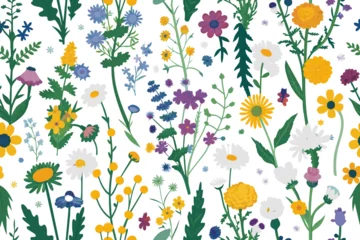 Schilderijen op glas Vector seamless pattern with hand drawn wild plants, herbs and flowers, colorful botanical illustration, floral elements, hand drawn repeating background. Wild meadow herbs, flowering flowers  © dejanira