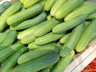 zucchini on the market