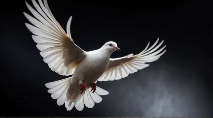 Fotobehang A white dove flying on plain black background from Generative AI © Arceli