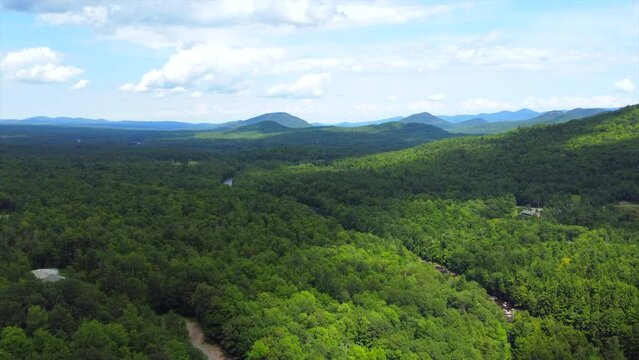 Drone Footage of Vast Wilderness and Carnivorous Forest in Upstate New York