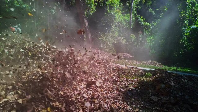 Air blower for blowing grass, leaf debris, creating fire breaks, .preventing forest fires, backpack style..Slow motion The leaves are blown away by the force of the wind blowing from the blow dryer..