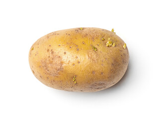 Fresh potato on white