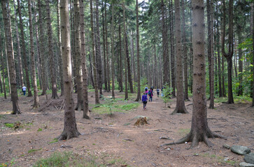 Obraz premium Spacer w górach