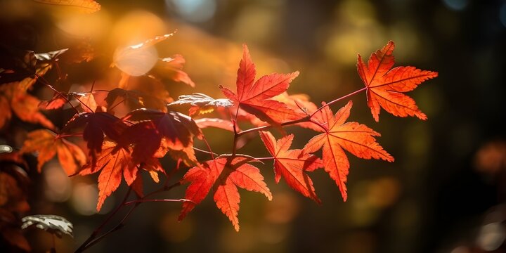 photo of an object of red maple leaves on a bright background