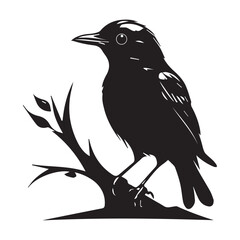 A minimalist, logo featuring a sleek and stylized robin against a white background awesome, professional, vector logo, simple