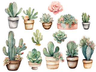 Watercolor cactus set. Hand drawn succulent collection isolated on white background, cute cacti