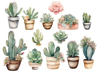 Fototapete Kaktus im Topf Watercolor cactus set. Hand drawn succulent collection isolated on white background, cute cacti
