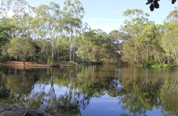 Fototapeta na wymiar Lake and trees at Reg Tanna Park in Gladstone, Queensland, Australia