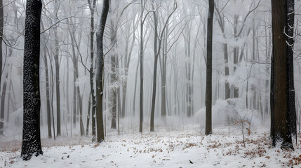 the woods is accentuated by the gentle descent of snow, transforming the landscape into a silent poetry.