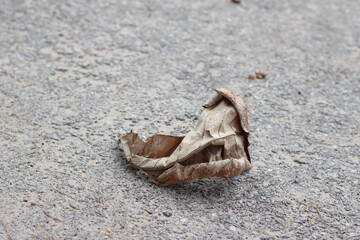 skull on the sand