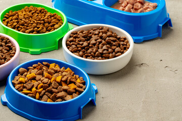 Plastic pet bowl with food on gray background