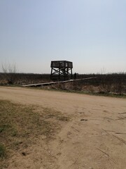 Nature. Field tower.