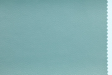 Background image - light green leather texture with fine texture
