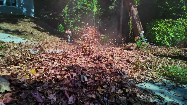 Slow motion Gardeners simultaneously use a backpack blower. .Blow the leaves and grass clippings together into a large pile. .Keep your garden clean and prevent forest fires. clean park background.