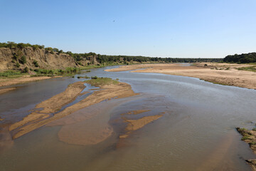 Fototapeta na wymiar Afrikanischer Busch - Krügerpark - Letaba River / African Bush - Kruger Park - Letaba River /