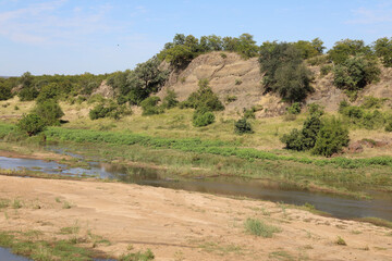 Afrikanischer Busch - Krügerpark - Letaba River / African Bush - Kruger Park - Letaba River /