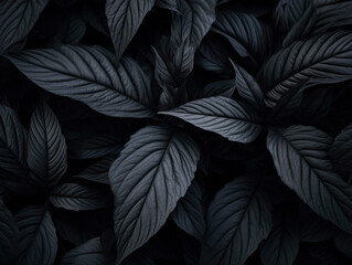 Beautiful Gray and Black Flowers on Dark Background, Textured Leaves, Colorful Graphics Banner with White and Black Leaves.	
