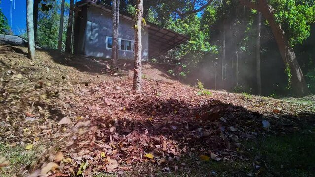 Slow motion Gardeners simultaneously use a backpack blower. .Blow the leaves and grass clippings together into a large pile. .Keep your garden clean and prevent forest fires. clean park background.
