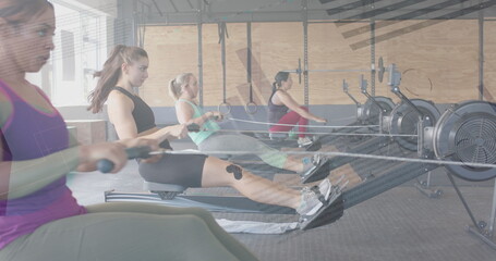 Image of data on interface over diverse women training on rowing machines at gym