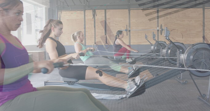 Image of data on interface over diverse women training on rowing machines at gym - Powered by Adobe