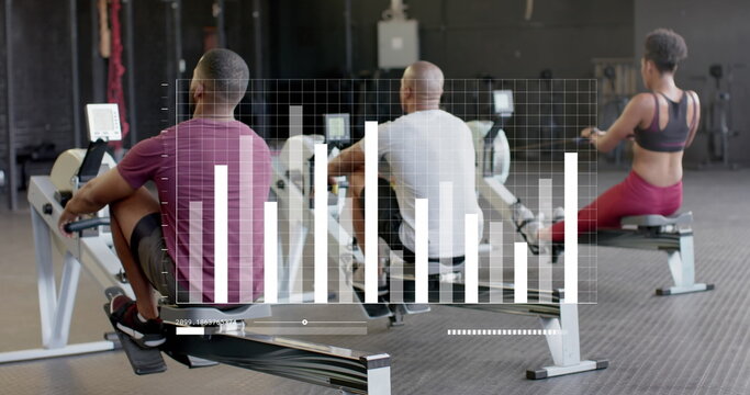Image of data on graph over diverse woman and men training on rowing machines at gym - Powered by Adobe