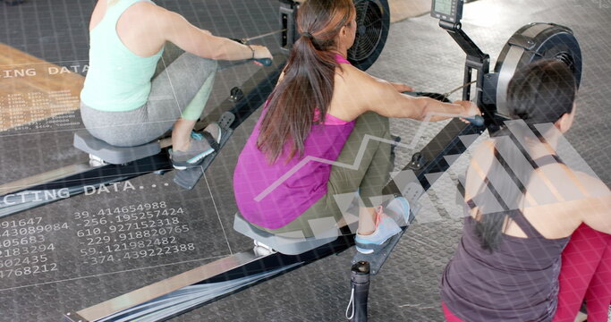 Image of interface processing data over diverse women training on rowing machines at gym