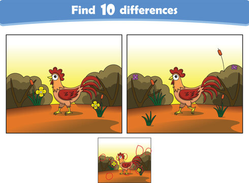 Funny cartoon rooster. Find 10 differences. Kids Education games. Cartoon vector illustration
