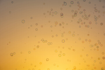 Lots of soap bubbles in the sky at sunset