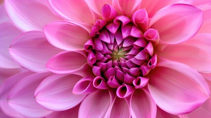 Mesmerizing close-up of a blossoming pink flower, a vibrant display of nature's beauty, Ai Generated.