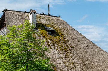 Fototapeta na wymiar characteristic thatched roof of the old Maso Plattner, site of the Bees Museum, Costalovara, municipality of Ritten, South Tyrol. Trentino Alto Adige, northern Italy