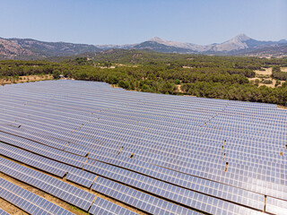 parque de energía solar fotovoltaica, ses Barraques, Calviá, Mallorca, Balearic Islands, Spain