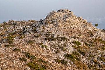 Puig Caragolí, 945 metros, camino del Archiduque, - Camí de S'Arxiduc -, Valldemossa, Mallorca, Balearic Islands, Spain