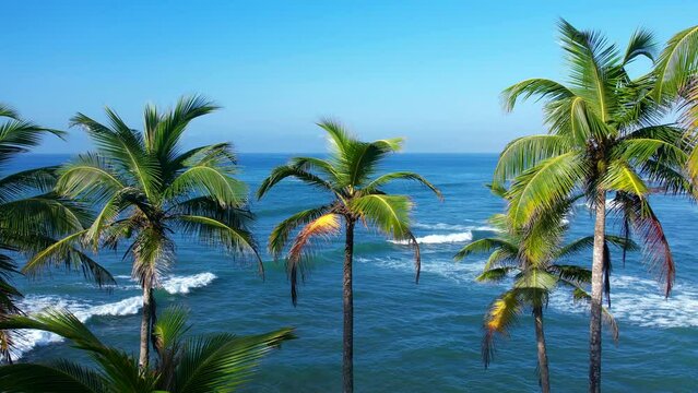 Beautiful Indian Ocean coastline on the island of Sri Lanka, Mirissa. Top view, aerial video filming.