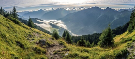 panorama of beautiful countryside, wonderful springtime landscape in mountains. grassy fields and rolling hills