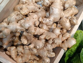 fresh mushrooms on a market