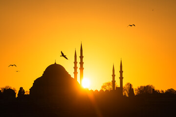 Suleymaniye Mosque in Istanbul, Turkey. Famous travel tourist destination.