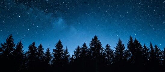 Fototapeta premium Stars visible in night sky above dark forest
