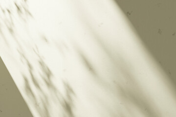 Obraz premium Sunshine, tree shadows, various texture backgrounds. 3d rendering.