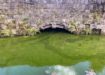 Old drainage sewer filled with dirty green water. Tunnel overflowing with water