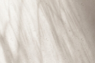 Sunshine, tree shadows, various texture backgrounds. 3d rendering.