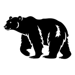 Fototapeta premium polarbear walking movement silhouette