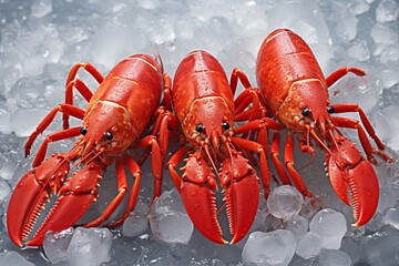 Fresh red lobsters waiting on ice, ready to be served at the dinner table in a seafood restaurant