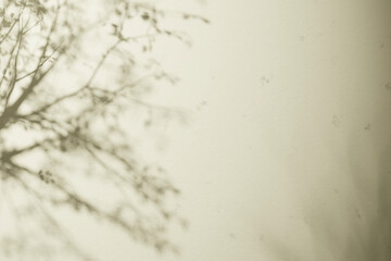 Sunshine, tree shadows, various texture backgrounds. 3d rendering.