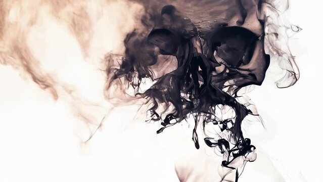A pitch-black skull surrounded by smoke, symbolizing mystery, and conveying a strong visual impact.
