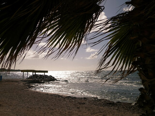 Fototapeta na wymiar Beach and palms on Mediterranean Sea coast. Cyprus