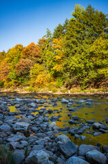 Obraz premium Worlds End State Park, State park in Pennsylvania