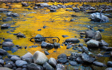 Worlds End State Park, State park in Pennsylvania