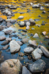 Worlds End State Park, State park in Pennsylvania