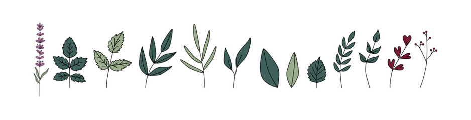 Green leaves and branches, stems. Botanical clipart. Retro vintage style. Boho eco greenery. © IRYNA